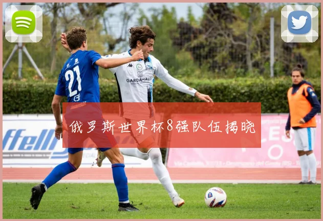俄罗斯世界杯8强队伍揭晓
