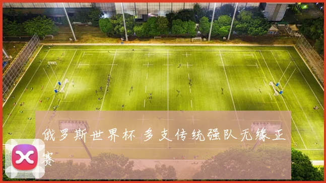 俄罗斯世界杯 多支传统强队无缘正赛