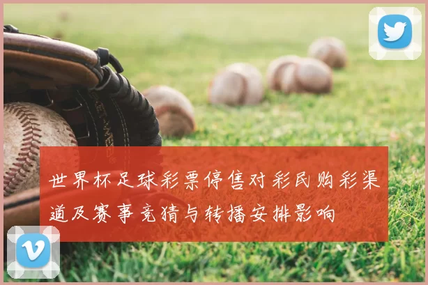 世界杯足球彩票停售对彩民购彩渠道及赛事竞猜与转播安排影响