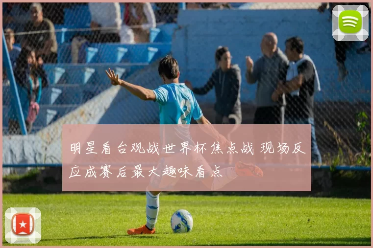 明星看台观战世界杯焦点战 现场反应成赛后最大趣味看点