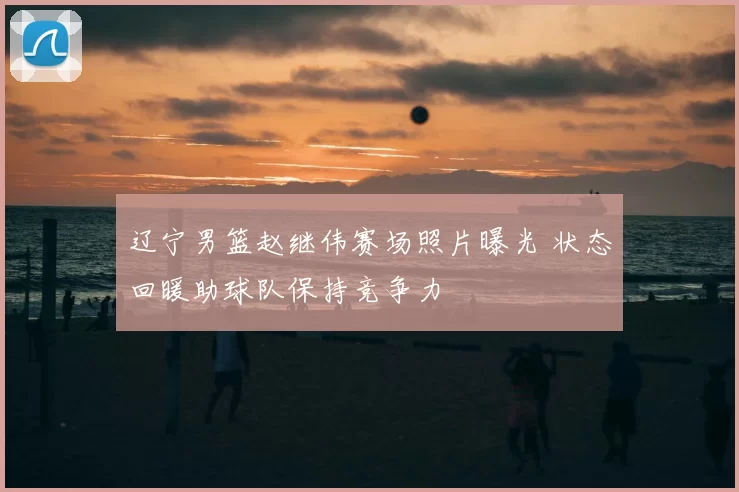 辽宁男篮赵继伟赛场照片曝光 状态回暖助球队保持竞争力