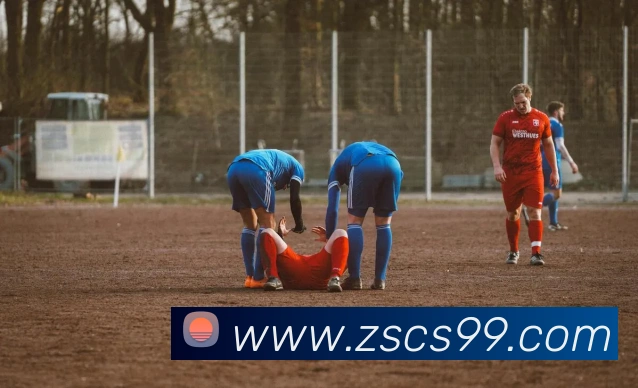 九游体育平台官网APP 封面图